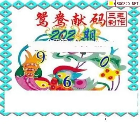 25202期: 三毛3D精品图谜