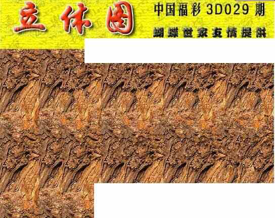 25029期: 3D蝴蝶世家蝴蝶彩图