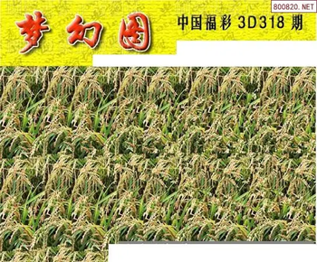 25318期: 3D蝴蝶世家蝴蝶彩图