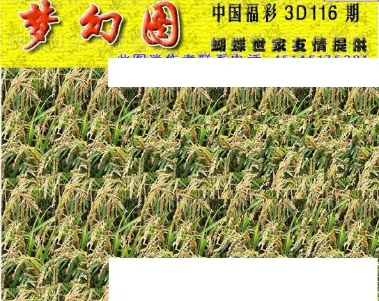 25116期: 3D蝴蝶世家蝴蝶彩图