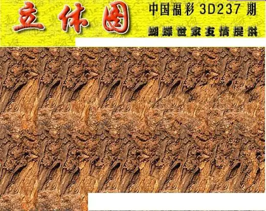 25237期: 3D蝴蝶世家蝴蝶彩图