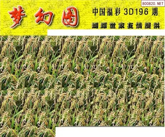 25196期: 3D蝴蝶世家蝴蝶彩图