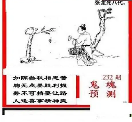 25232期: 三毛3D精品图谜