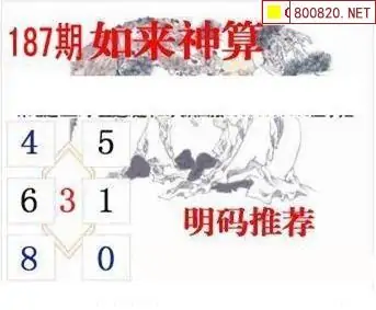 25187期: 白老3D杀码图版