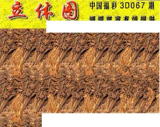 25067期: 3D蝴蝶世家蝴蝶彩图