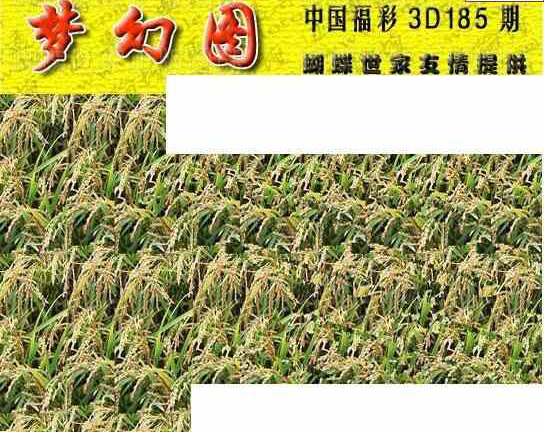 24185期: 3D蝴蝶世家蝴蝶彩图