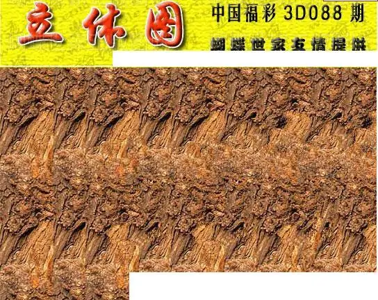 25088期: 3D蝴蝶世家蝴蝶彩图