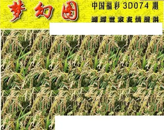 25074期: 3D蝴蝶世家蝴蝶彩图