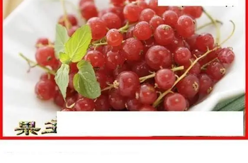 26066期: 白老3D杀码图版