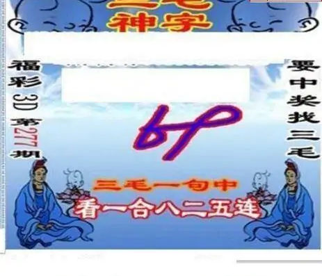 25277期: 三毛3D精品图谜