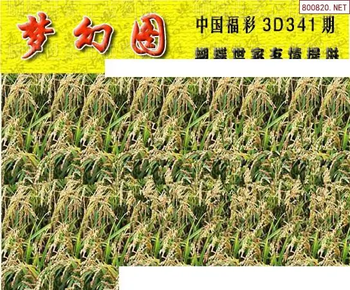 25341期: 3D蝴蝶世家蝴蝶彩图