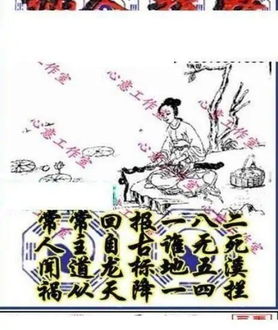 25319期: 三毛3D精品图谜