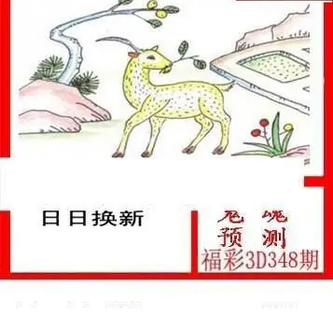 25348期: 白老3D杀码图版