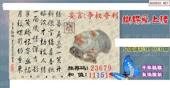 26073期: 3D蝴蝶世家蝴蝶彩图