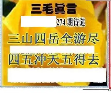 25274期: 三毛3D精品图谜