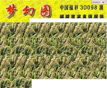 26098期: 3D蝴蝶世家蝴蝶彩图