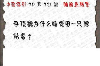 25321期: 3D蝴蝶世家蝴蝶彩图