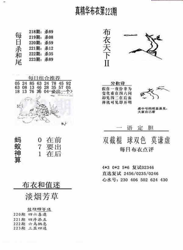 24223期: 福彩3D全套图版参考
