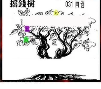 26031期: 三毛3D精品图谜