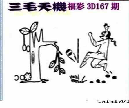 24167期: 三毛3D精品图谜