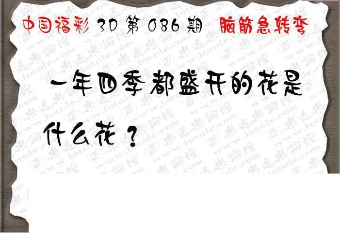 25086期: 3D蝴蝶世家蝴蝶彩图