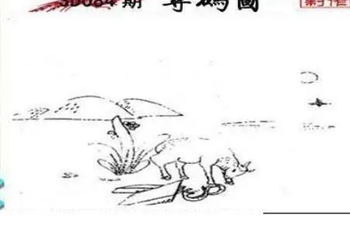 26084期: 三毛3D精品图谜