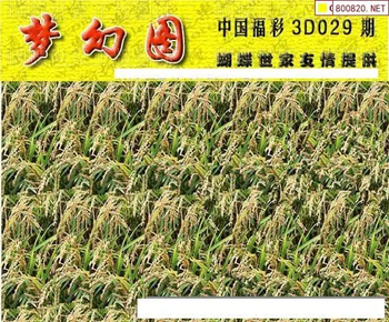 26029期: 3D蝴蝶世家蝴蝶彩图