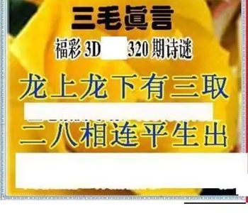 25320期: 三毛3D精品图谜