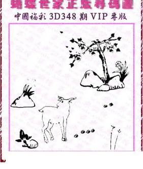 25348期: 3D蝴蝶世家蝴蝶彩图