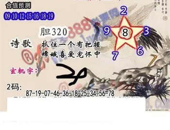 26010期: 白老3D杀码图版