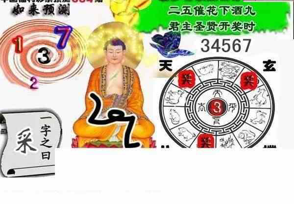 24084期: 白老3D杀码图版