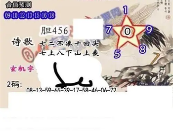 26060期: 白老3D杀码图版