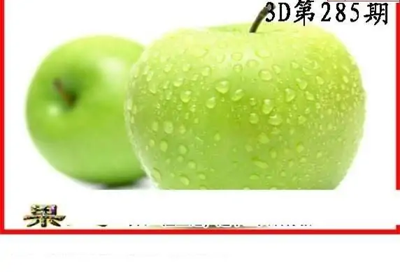 25285期: 白老3D杀码图版