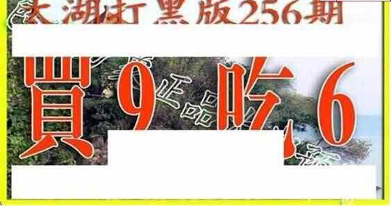 24256期: 太湖图福彩3D精品预测