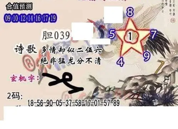 26062期: 白老3D杀码图版