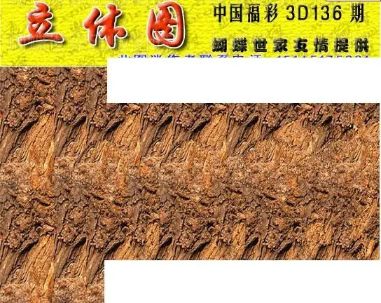 25136期: 3D蝴蝶世家蝴蝶彩图