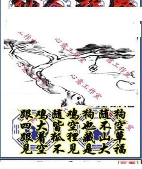 25340期: 三毛3D精品图谜