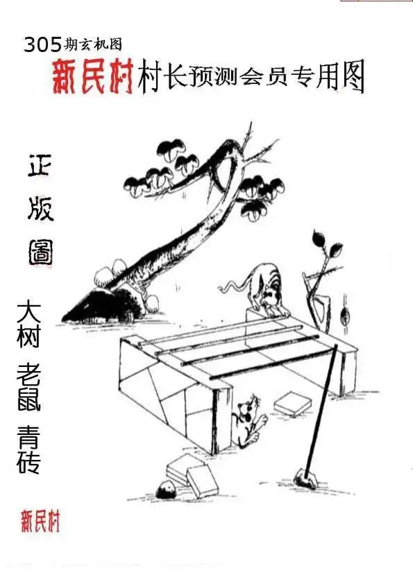 25305期: 老村长福彩3D天天图谜