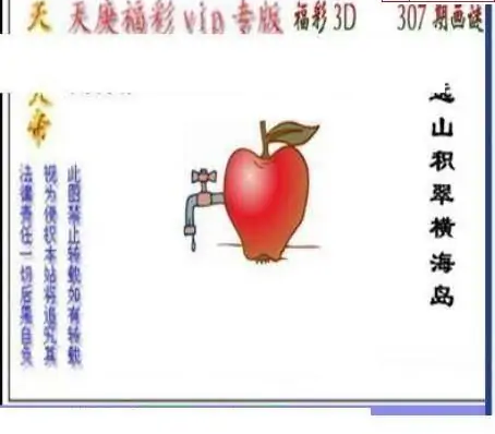 25307期: 三毛3D精品图谜