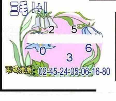 24099期: 三毛3D精品图谜