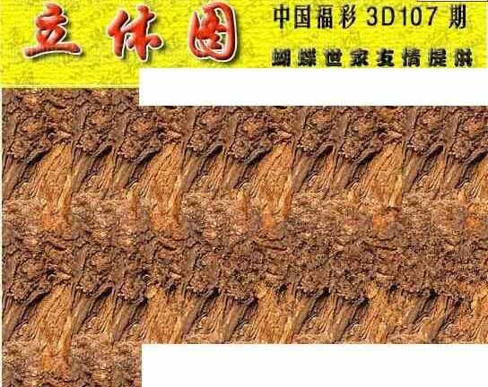 24107期: 3D蝴蝶世家蝴蝶彩图