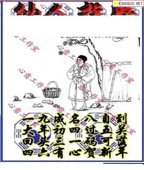 25184期: 三毛3D精品图谜