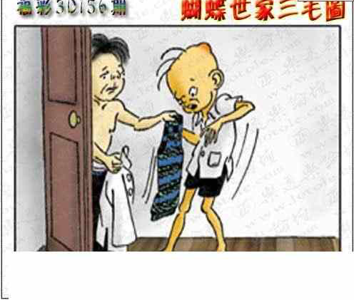 24156期: 3D蝴蝶世家蝴蝶彩图