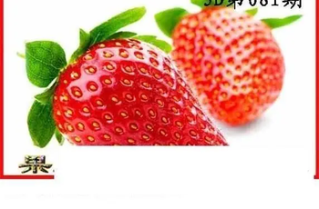 26081期: 白老3D杀码图版