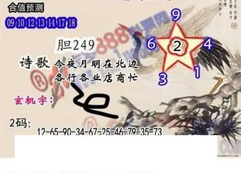 26009期: 白老3D杀码图版