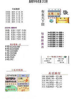 25313期: 福彩3D全套图版参考