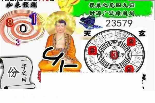 24179期: 白老3D杀码图版