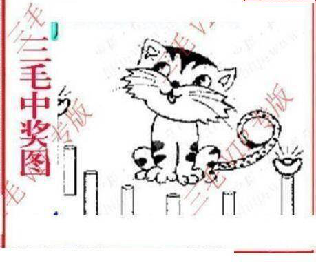 25063期: 三毛3D精品图谜