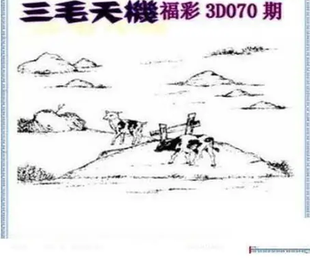 26070期: 三毛3D精品图谜
