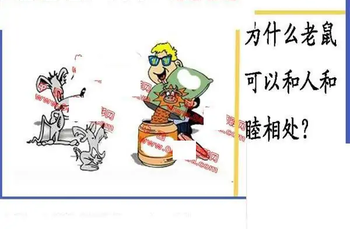 25319期: 福彩3D丹东全图分析